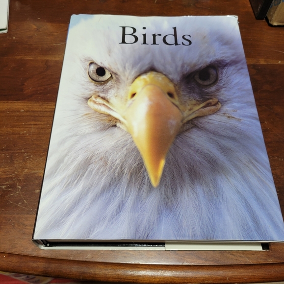 Encyclopedia of BIRDS book contains illustrations and photographs hardcover - Picture 2 of 11